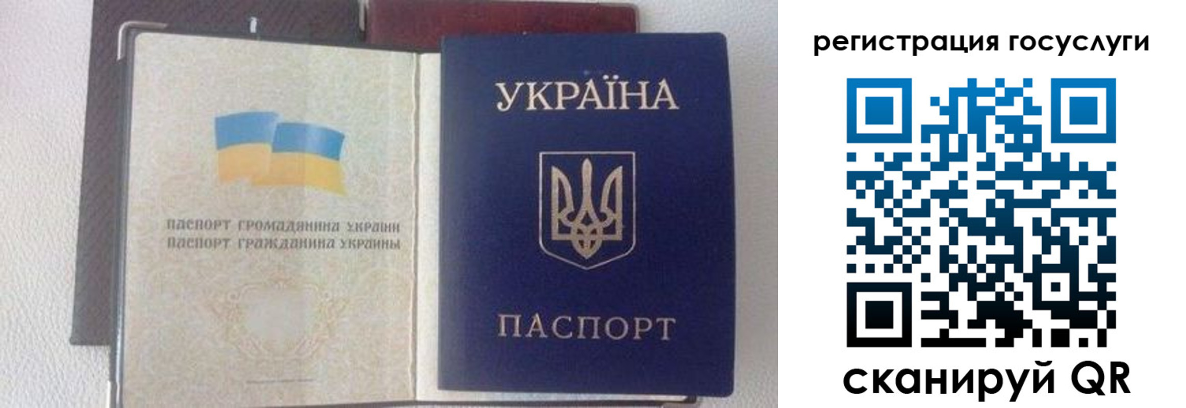 прописка для работы в Новозыбкове